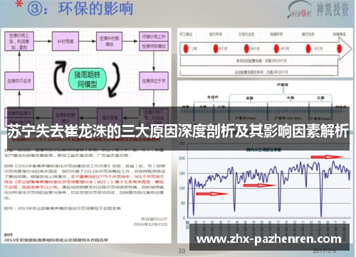 苏宁失去崔龙洙的三大原因深度剖析及其影响因素解析